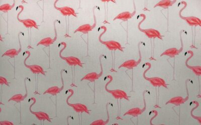A Guide To Choosing the Best Wallpaper for Your Home