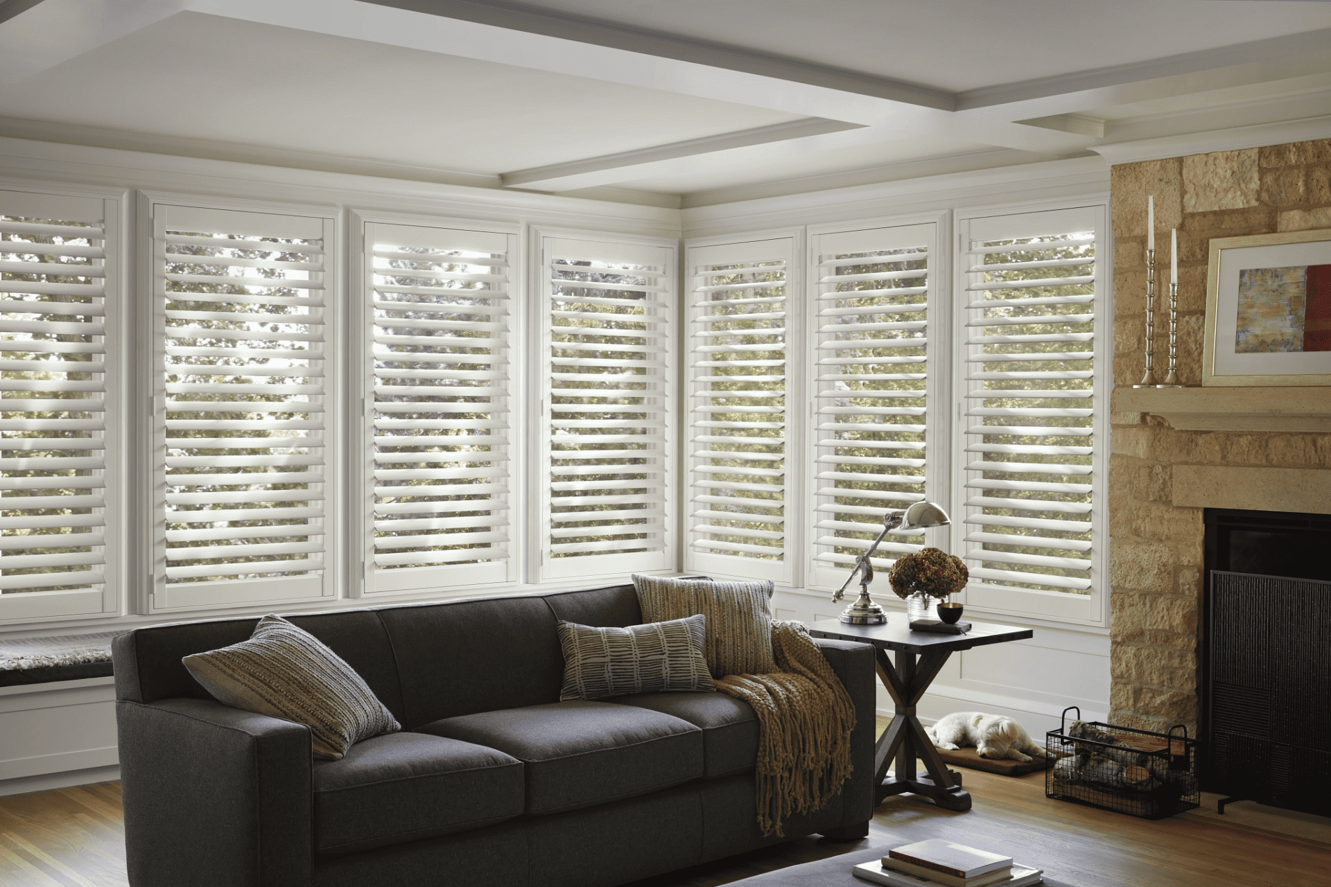 2020_NS_Standard Hinged_HT_Dog_Living- New Style Shutters